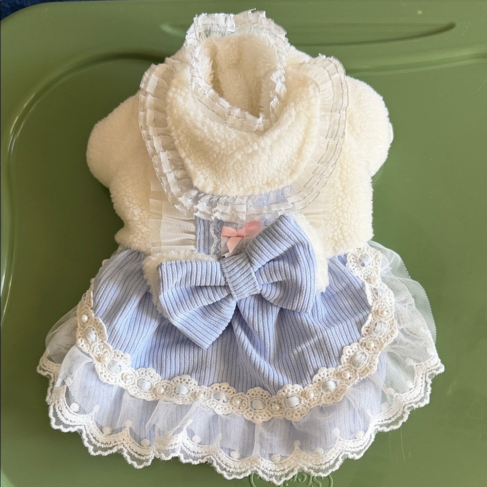 Elegant Blue and White Dog Dress Fleece Lined Lace W/Faux Pearls Worn Once Small